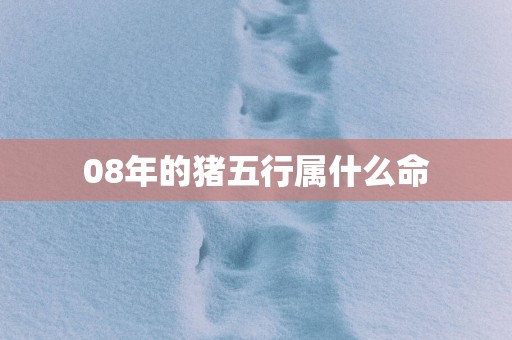 08年的猪五行属什么命