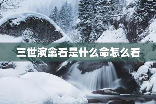 三世演禽看是什么命怎么看