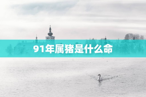 91年属猪是什么命