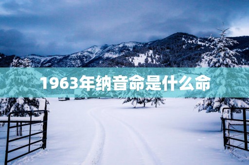 1963年纳音命是什么命