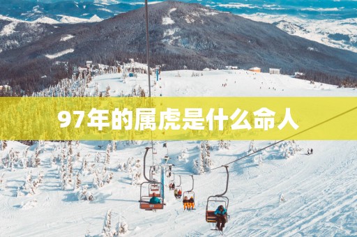 97年的属虎是什么命人