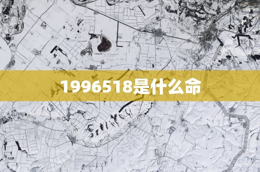 1996518是什么命