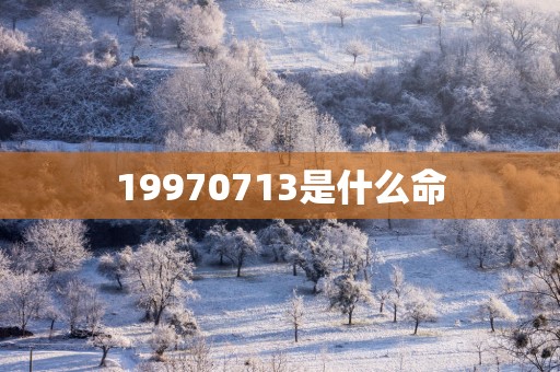 19970713是什么命