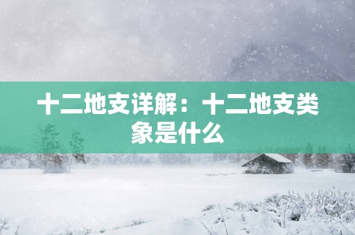 十二地支详解：十二地支类象是什么