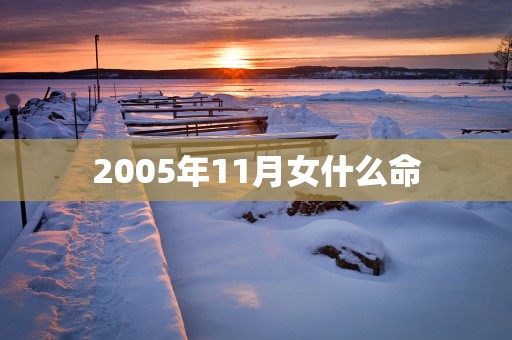 2005年11月女什么命
