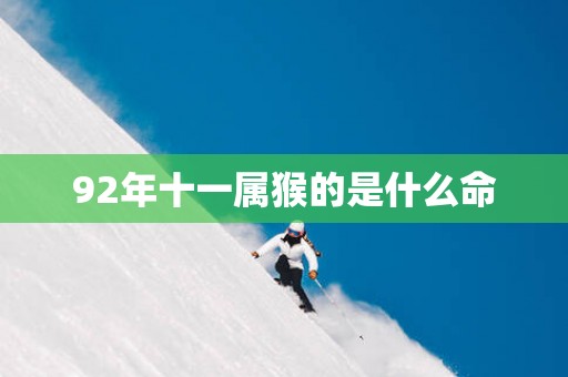 92年十一属猴的是什么命