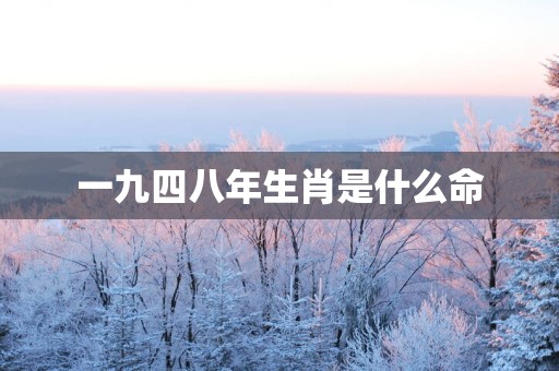 一九四八年生肖是什么命