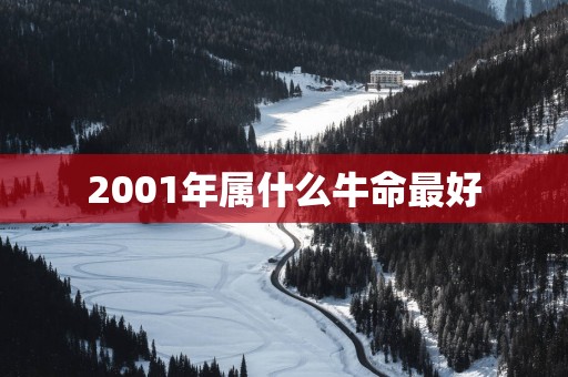 2001年属什么牛命最好
