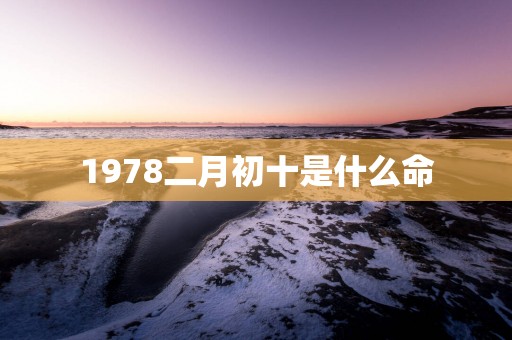 1978二月初十是什么命