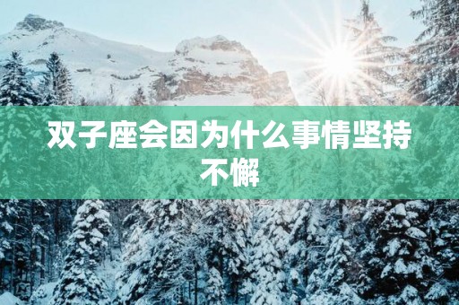 双子座会因为什么事情坚持不懈