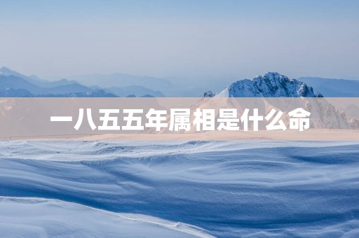 一八五五年属相是什么命