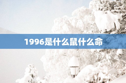 1996是什么鼠什么命