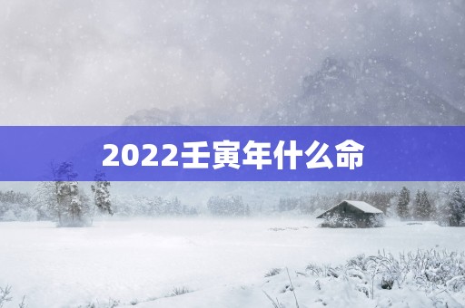 2025壬寅年什么命