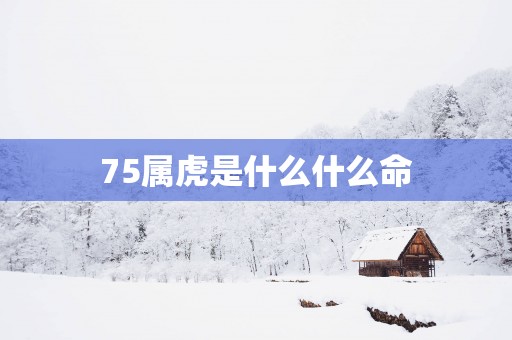75属虎是什么什么命