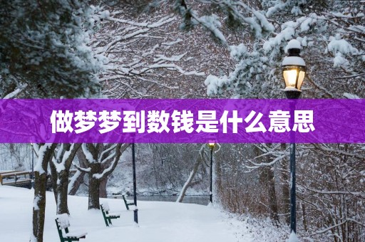做梦梦到数钱是什么意思