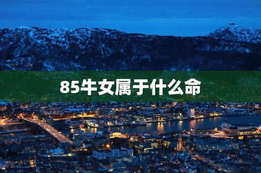 85牛女属于什么命