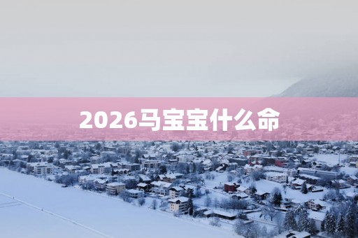 2026马宝宝什么命