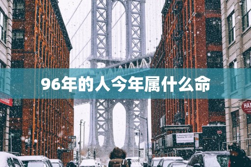 96年的人今年属什么命