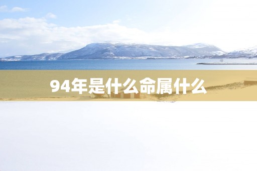 94年是什么命属什么