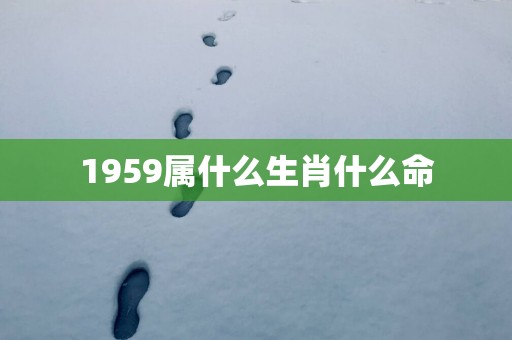 1959属什么生肖什么命