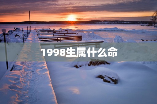 1998生属什么命