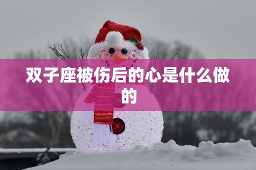 双子座被伤后的心是什么做的