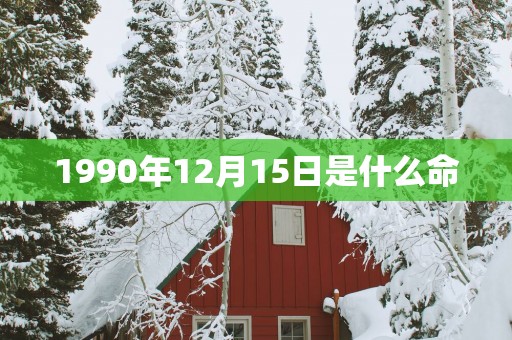 1990年12月15日是什么命