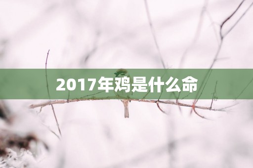 2017年鸡是什么命