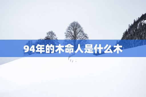 94年的木命人是什么木