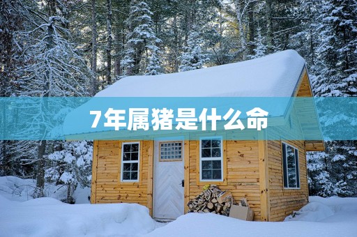 7年属猪是什么命