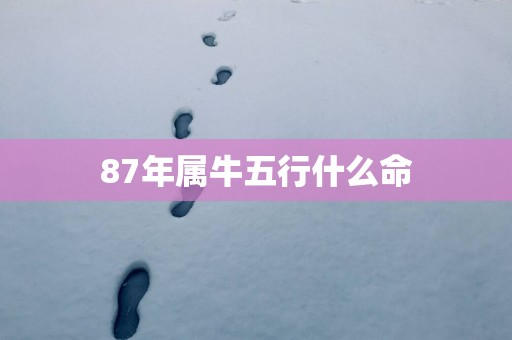 87年属牛五行什么命
