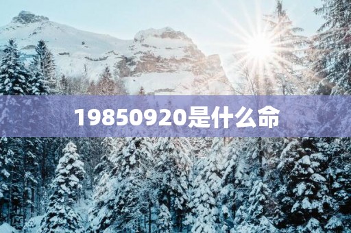 19850920是什么命