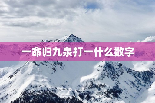 一命归九泉打一什么数字
