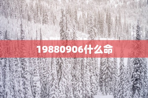 19880906什么命