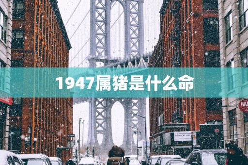 1947属猪是什么命