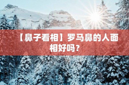 【鼻子看相】罗马鼻的人面相好吗？