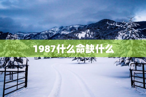 1987什么命缺什么