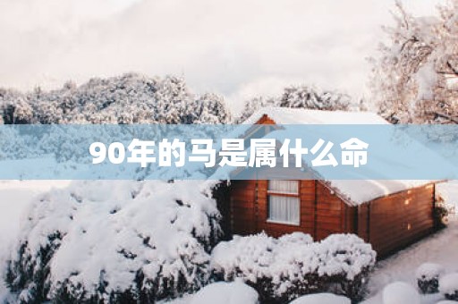 90年的马是属什么命