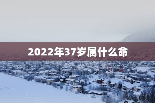 2025年37岁属什么命