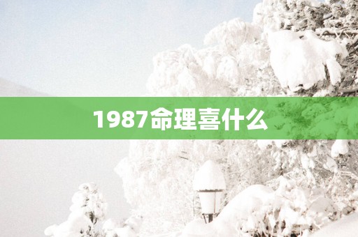 1987命理喜什么