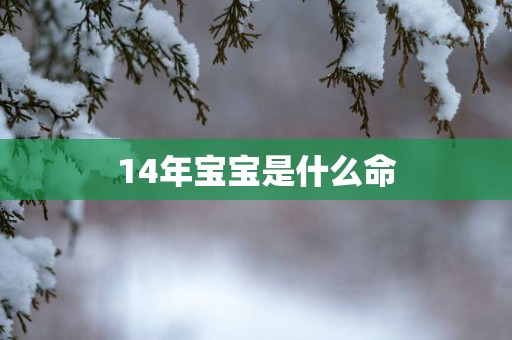 14年宝宝是什么命