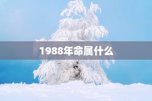 1988年命属什么