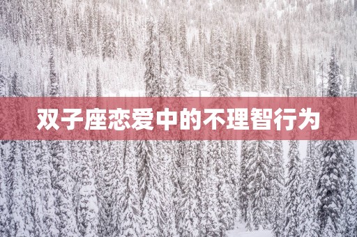 双子座恋爱中的不理智行为