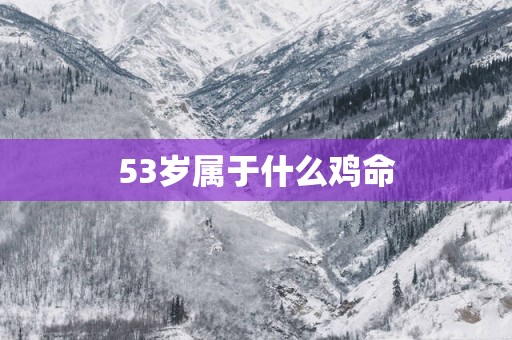 53岁属于什么鸡命