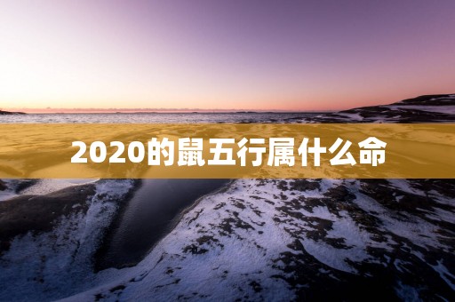2025的鼠五行属什么命