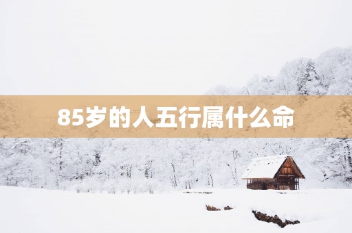 85岁的人五行属什么命