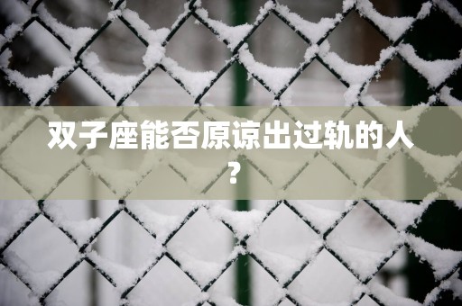 双子座能否原谅出过轨的人？