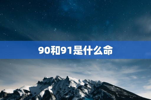 90和91是什么命