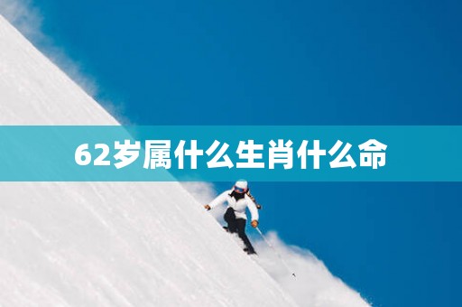 62岁属什么生肖什么命