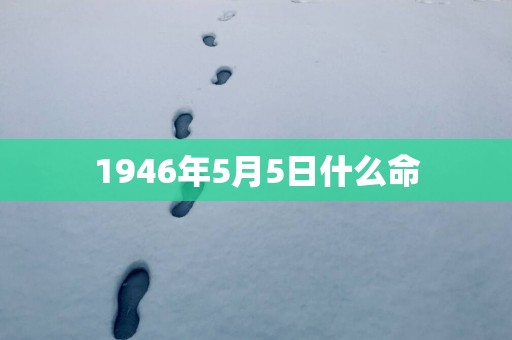 1946年5月5日什么命